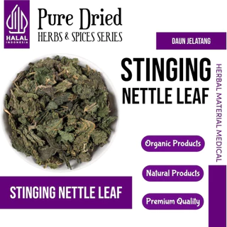 ELIF TEA Nettle Tea : Nettle Leaf Tea / Organic Nettle Leaf Tea