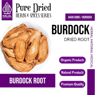 ELIF TEA Organic Gold Burdock Root Tea : Detox, Digestion & Immune